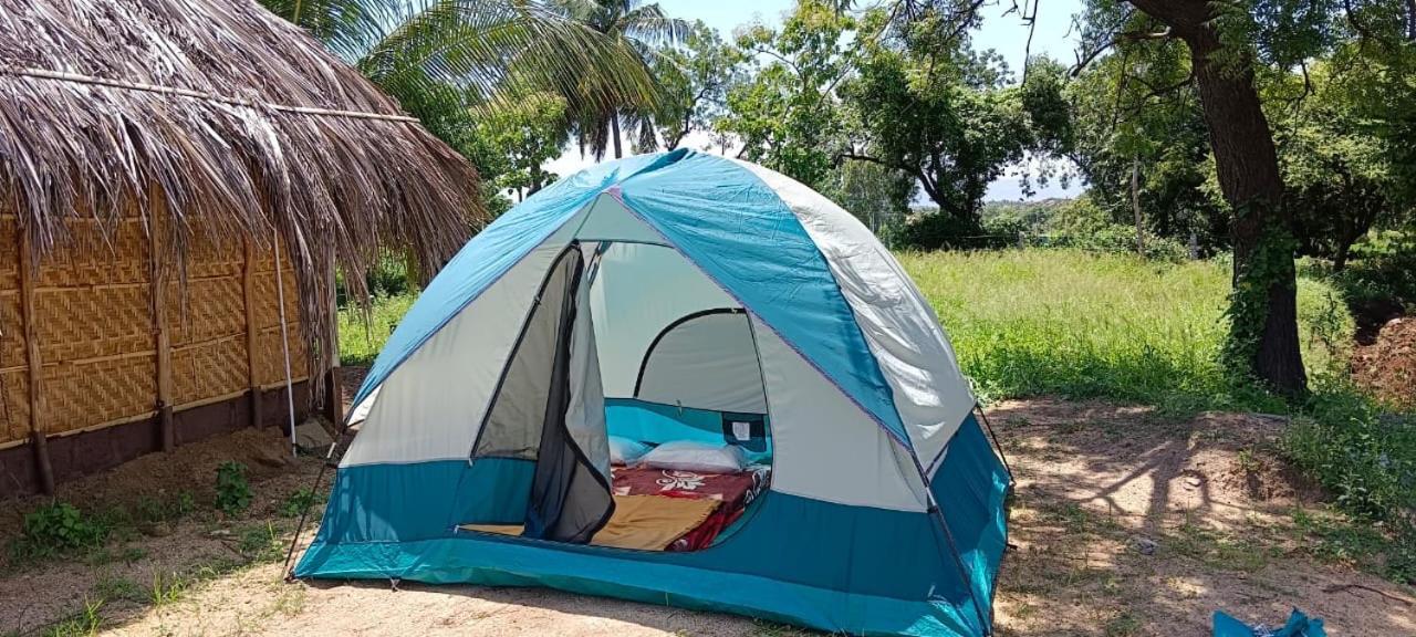 Banana Tree Home Stay Хампи Экстерьер фото