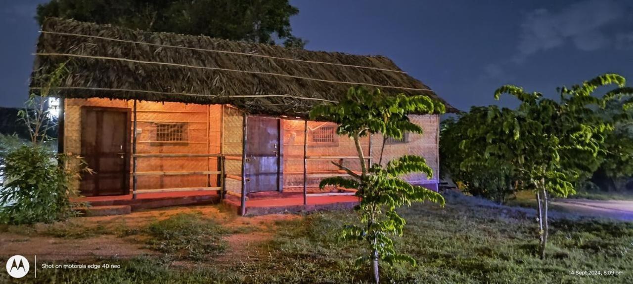 Banana Tree Home Stay Хампи Экстерьер фото